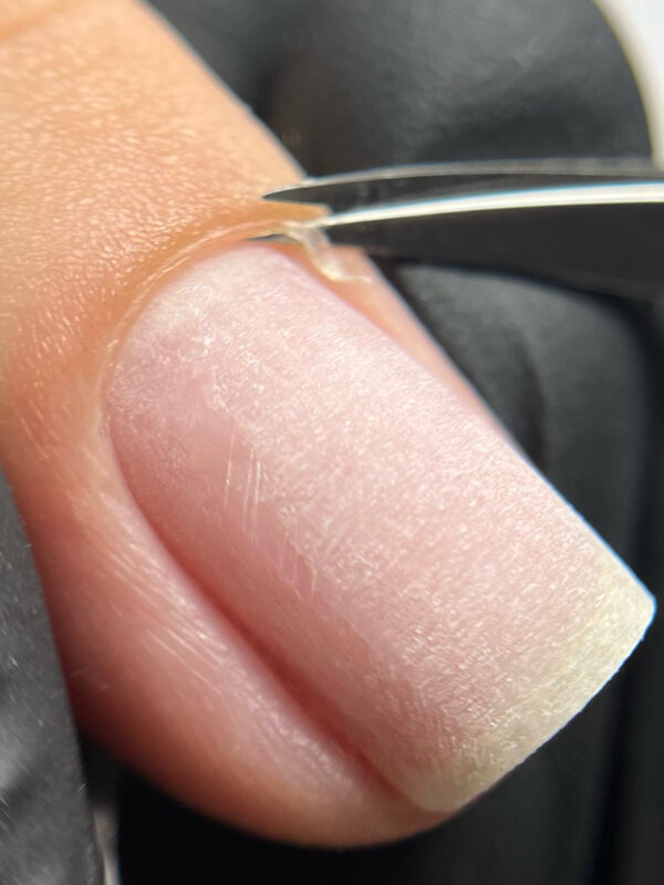 Biab & Signature Manicure Course