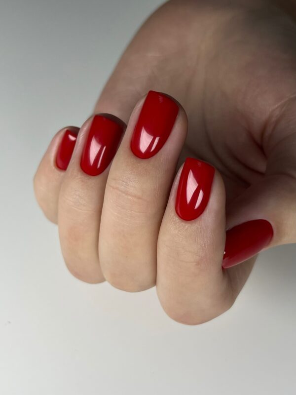 Gel Polish Manicure & E-File Training